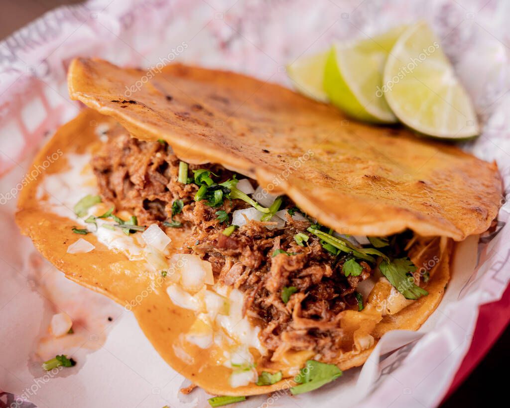 Deliciosa quesadilla con birria estilo guadalajara con sabores e