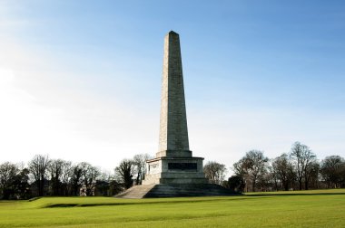 Wellington anıt phoenix Park, dublin - İrlanda