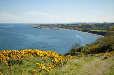 Greystones, İrlanda
