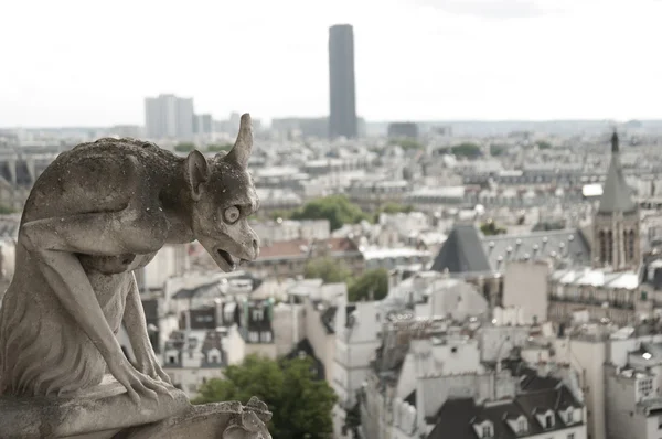 Wasserspeier in der Kathedrale Notre-dame in Paris — Stockfoto