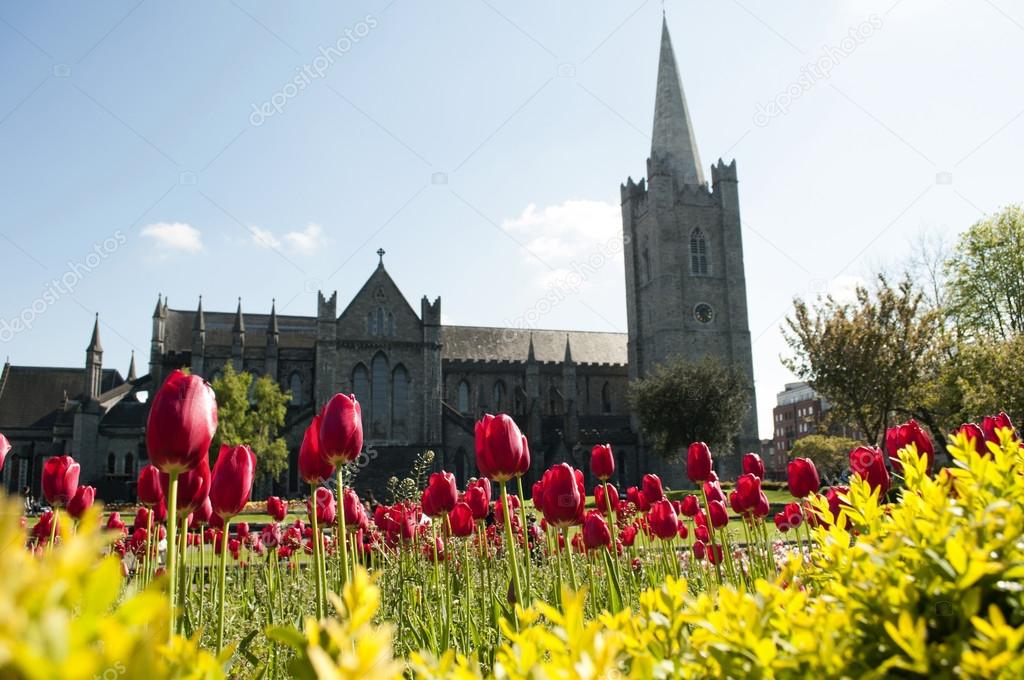 Garden of St. Patrick's Cathedral