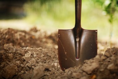 Shovel in soil clipart