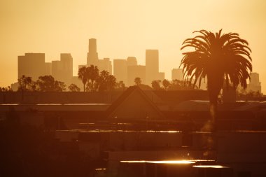 Los Angeles in morning