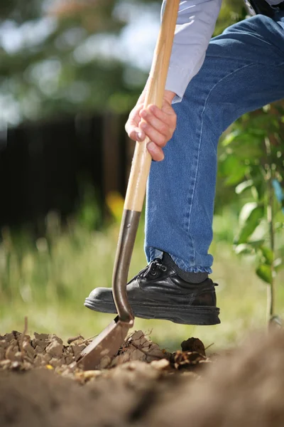 Digging soil — Stock Photo, Image