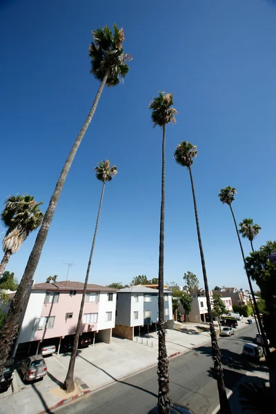 Área residencial de Los Angeles — Fotografia de Stock