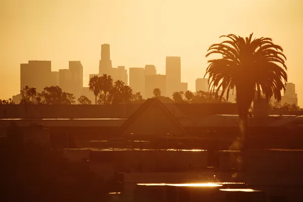 sabah Los Angeles'ta