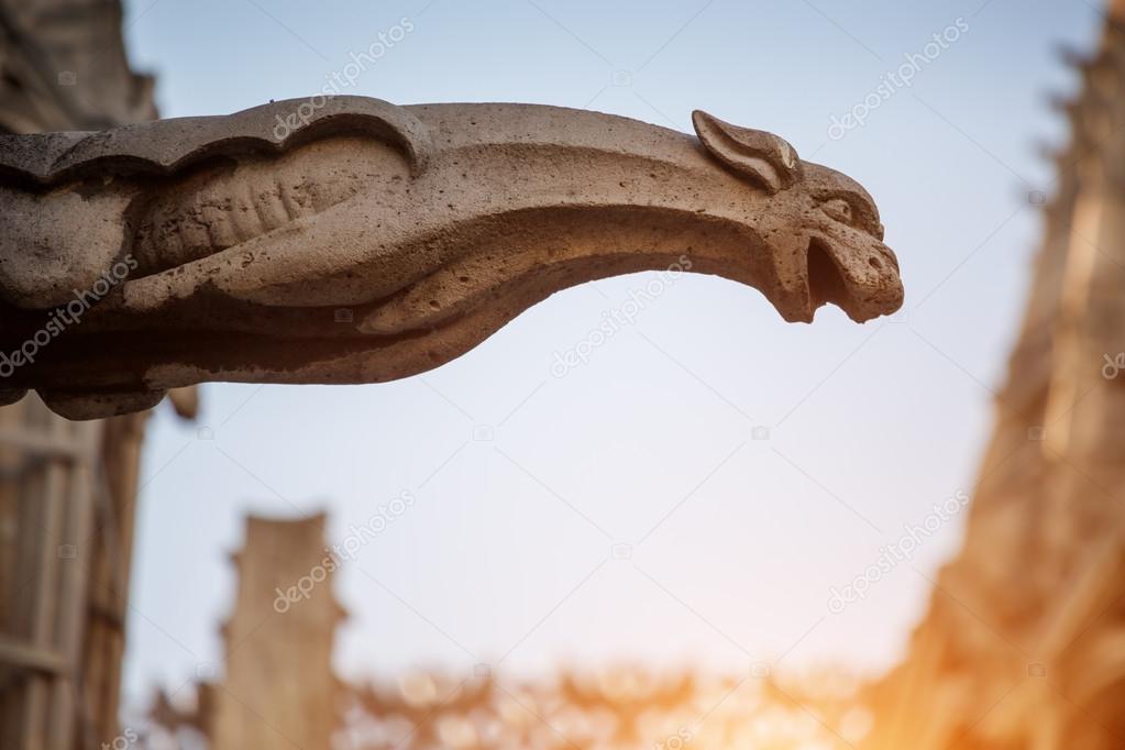 Gargoyle, Notre Dame Cathedral