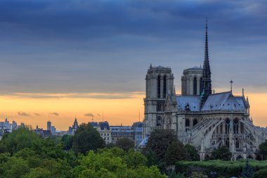 Notre dame de Paris