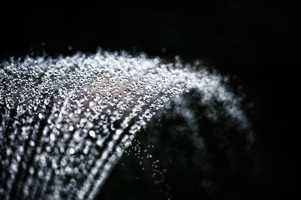 Watering closeup — Stock Photo, Image