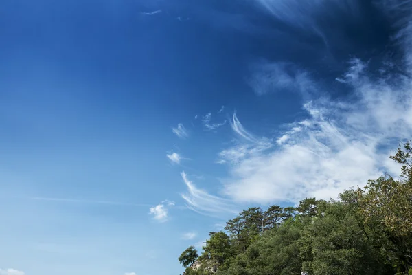 나무 하늘 배경 — 스톡 사진