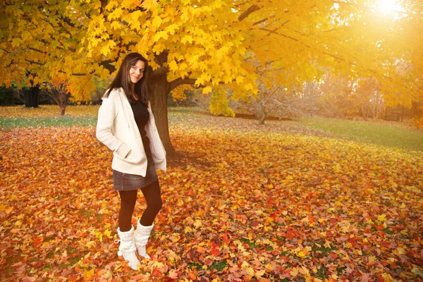Bela jovem mulher no parque de outono. — Fotografia de Stock