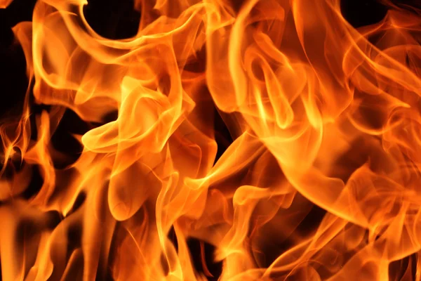 Fire — Stock Photo, Image