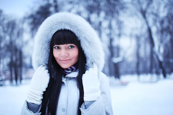 Winter beauty — Stock Photo, Image