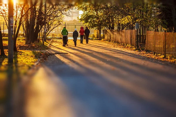 Осінній Парк захід сонця — стокове фото