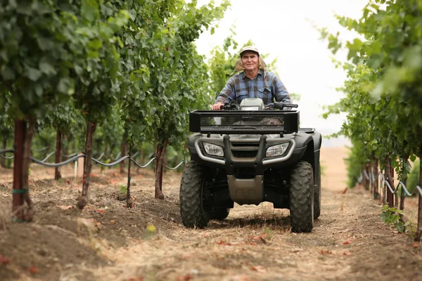 Farmář v vinice — Stock fotografie