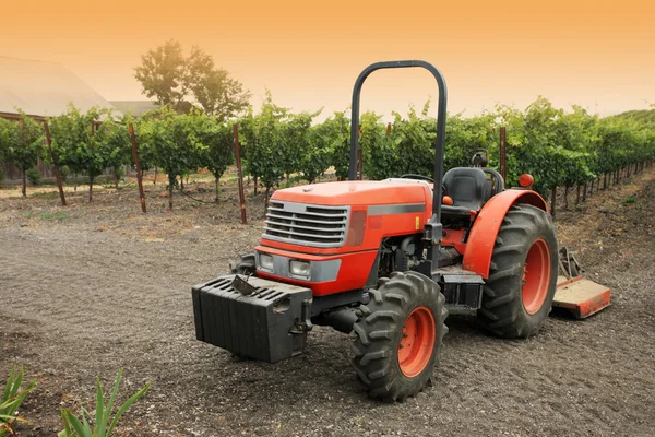 Малий червоний трактор у винограднику — стокове фото