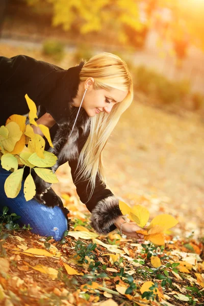 Beautiful woman in autumn park — Stock Photo, Image