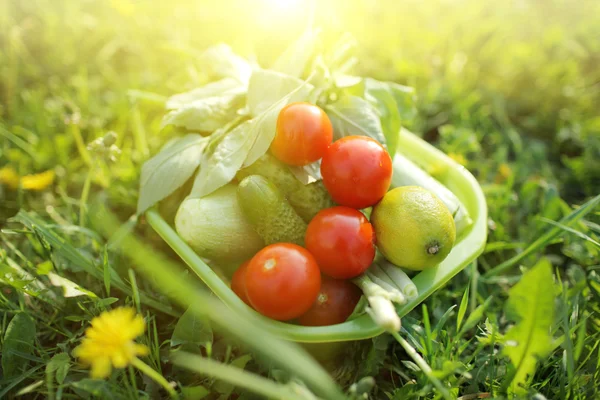 Organic food outdoors — Stock Photo, Image