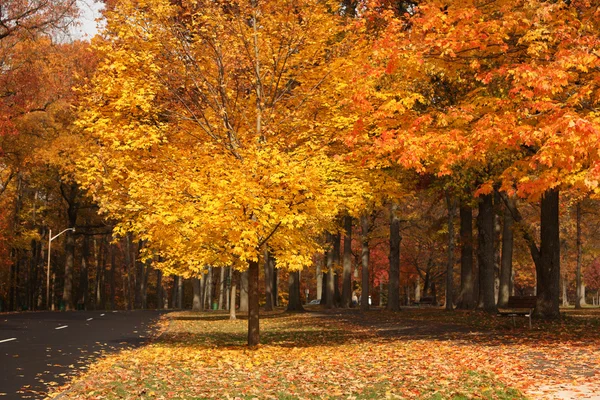 Herfstpark — Stockfoto