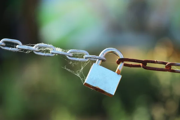 Padlock on chain — Stock Photo, Image