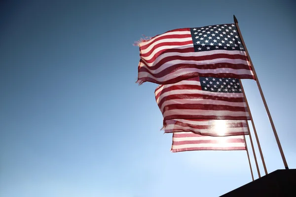Amerikan bayrakları — Stok fotoğraf