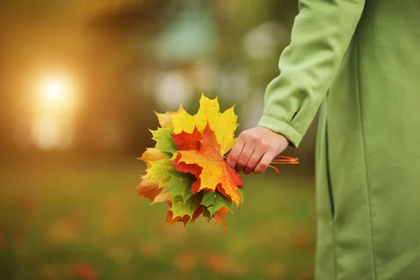 девушка осень. красивая осень. возможности осени. возможности осени. природа осень.