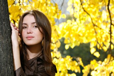 genç kadın ağaç gövdesi için eğilerek