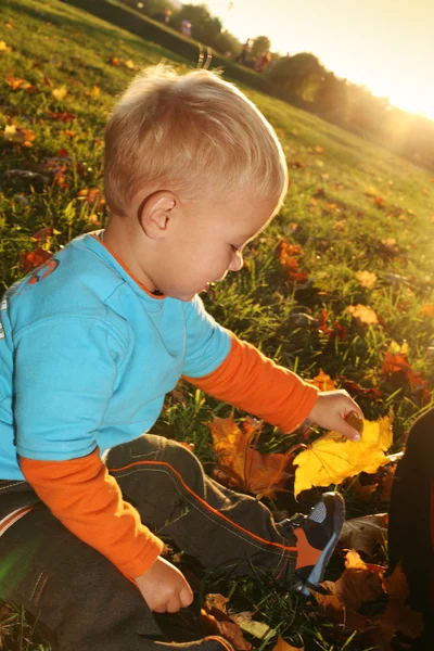 Menino brincando com folhas amarelas de outono — Fotografia de Stock