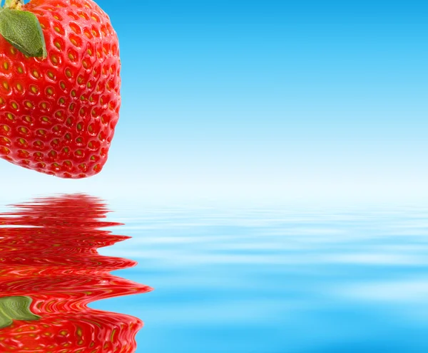 Fraise rouge sur eau bleue — Photo