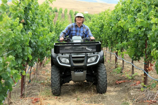 Agriculteur dans le vignoble — Photo