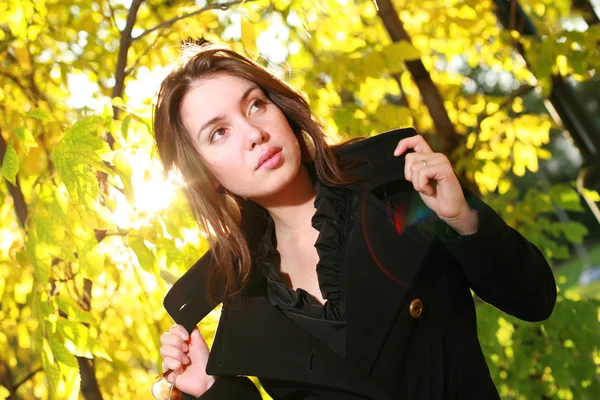 Woman posing in yellow autumn forest. Stock Picture