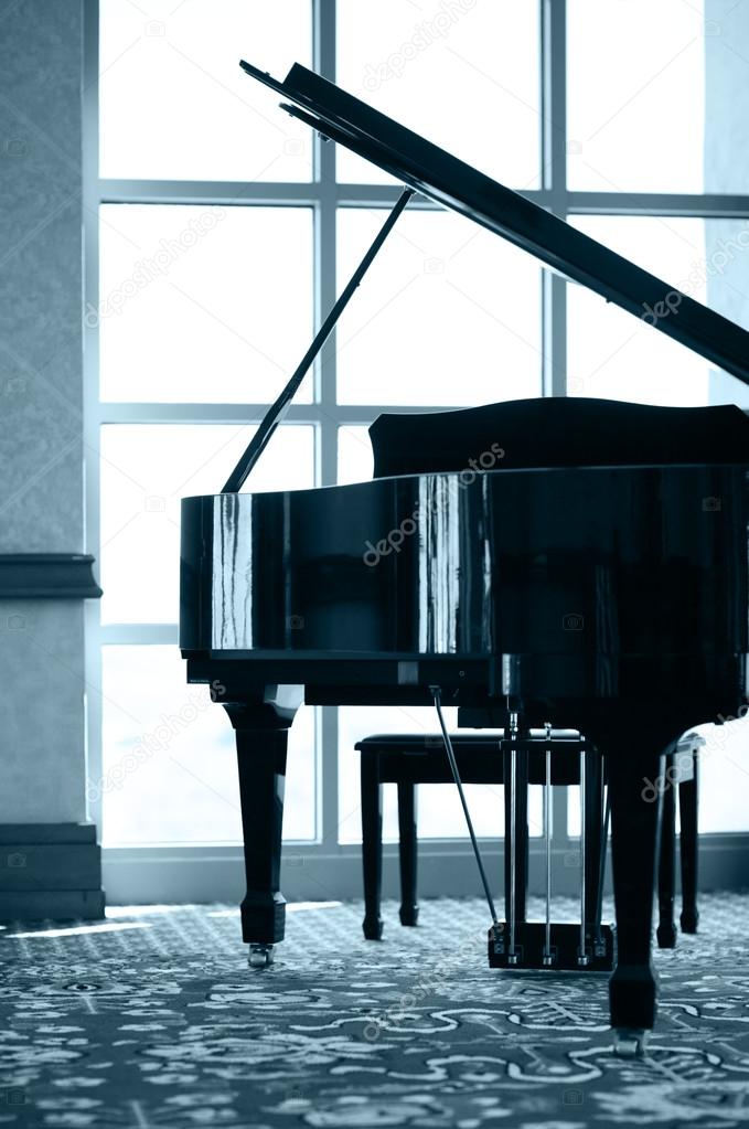 Grand piano silhouette