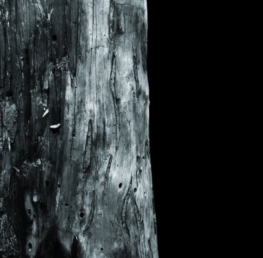 mistik kabuk dokusu arka plan.