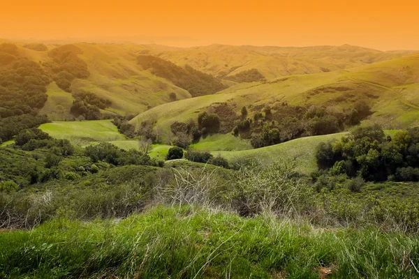 Beautiful Napa Valley Landscape — Stock Photo, Image