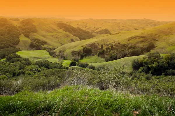 Bela paisagem do Vale de Napa — Fotografia de Stock