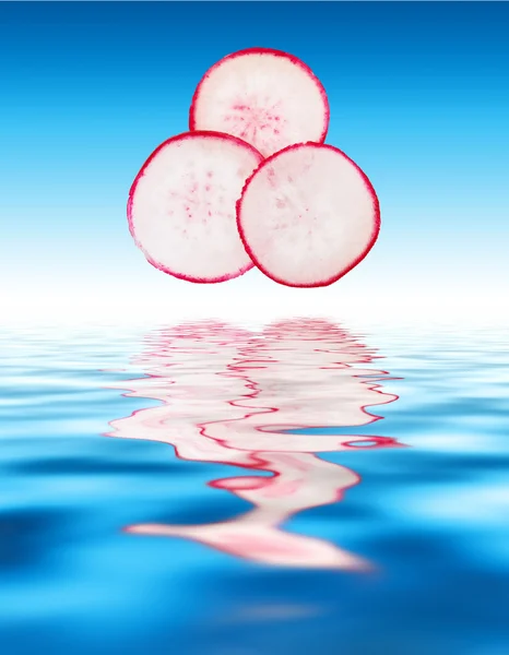 Radish Slices — Stock Photo, Image