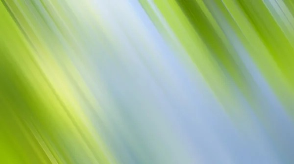 Abstract groen natuur achtergrond — Stockfoto