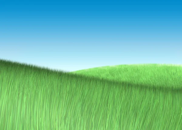 Alan mavi gökyüzünün altında taze yeşil çimen. — Stok fotoğraf