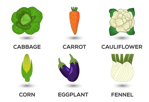 Vegetable Icons Set Vector Illustration Collection Farm Products Restaurant Menus — Stock vektor