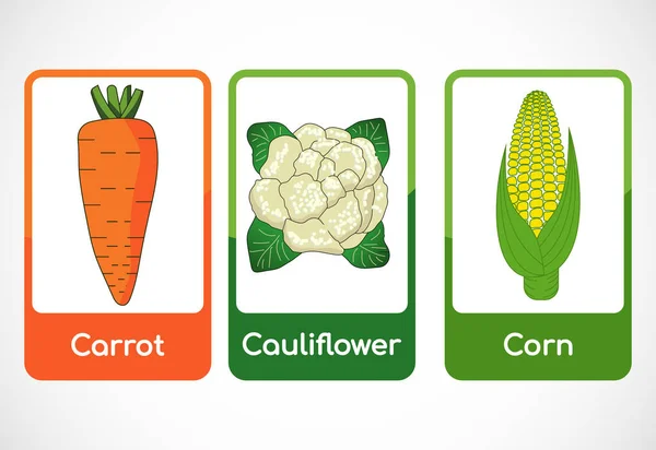 Gemüsekarteikarten Für Kinder Bildungsausweise Für Vorschulkinder Druckbare Vektorillustration — Stockvektor