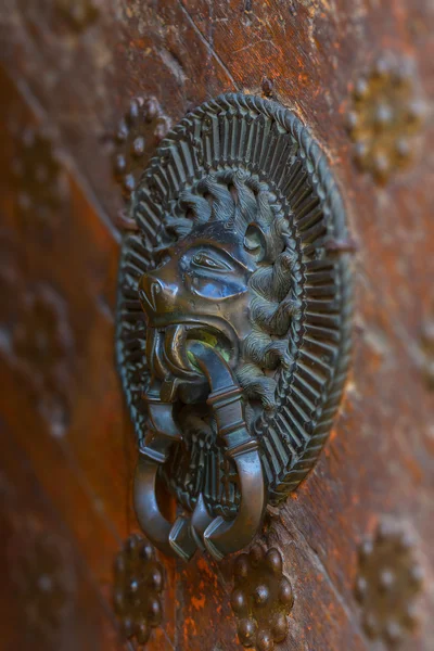 Door fragment with metal lion head handle — Stock Photo, Image