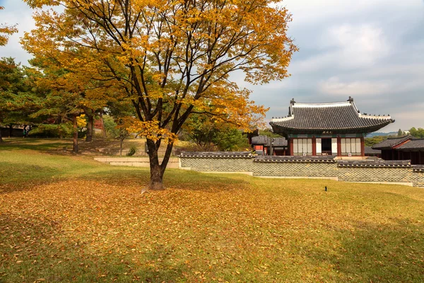 changgyeonggung Sarayı, seoul