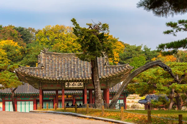 Πάρκο στο παλάτι του changgyeonggung — Φωτογραφία Αρχείου