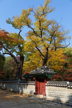 sonbahar Park changdeok Sarayı