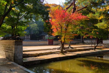 Biwon (secret garden) (built 1623 onward) clipart