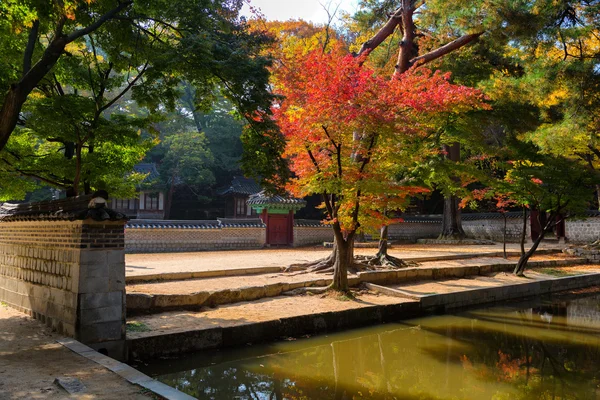 Biwon (jardín secreto) (construido en 1623 en adelante ) —  Fotos de Stock