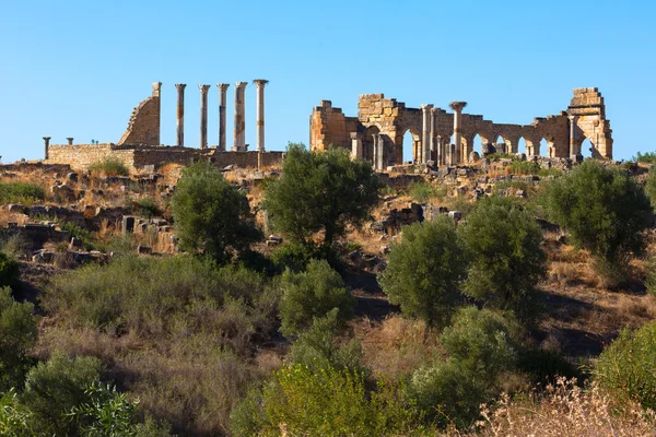 Volubilis — Foto Stock