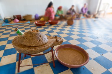 argan meyve Üretim Kooperatifi
