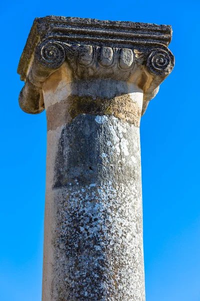 Antique Roman column — Stock Photo, Image