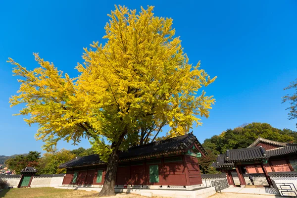 Otoño en el Palacio de Changdeok — Foto de Stock